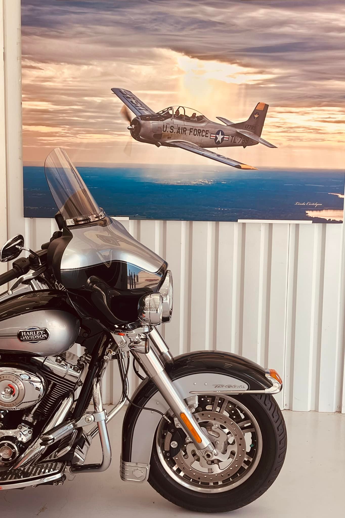 harley trainer